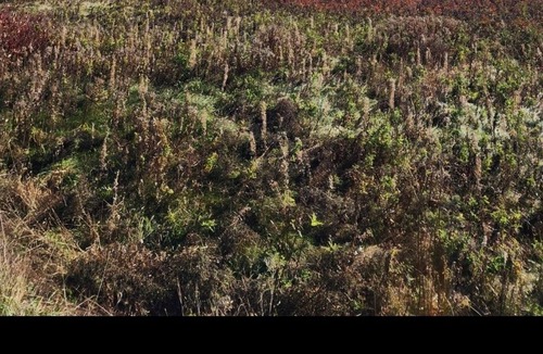 Perce Villa | Beachfront villa Perce