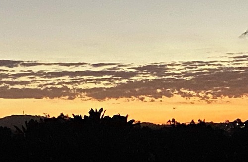 Forresters Beach Apartment | Beachside cabin + solar heated pool @ Spoon Bay