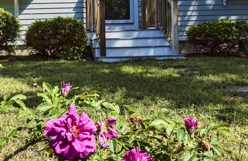 South Wellfleet House | Beachside Location at Lecount Hollow With A/C
