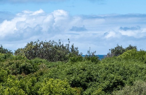 Twin Waters House | Beachside Resort Luxury Living