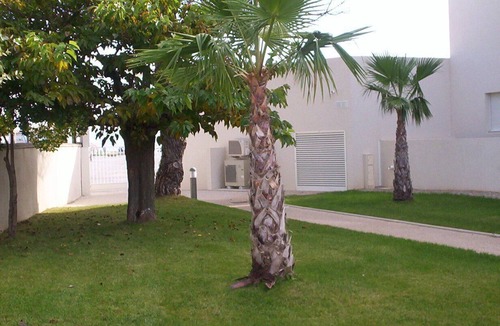 Meze Apartment | Beachside sea views, aircon, internet, modern, private parking