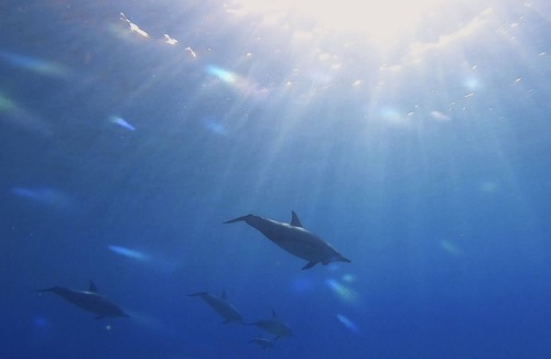 Waianae House | Beachy Boho Abode