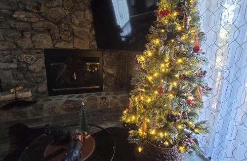 Mount Ida House | Bear Den on Lake Ouachita 2BR Condo at Mountain Harbor Resort