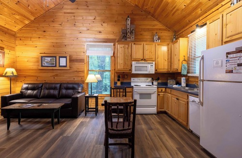 Sautee Nacoochee Cabin | Bear Hug - Free Spring Night