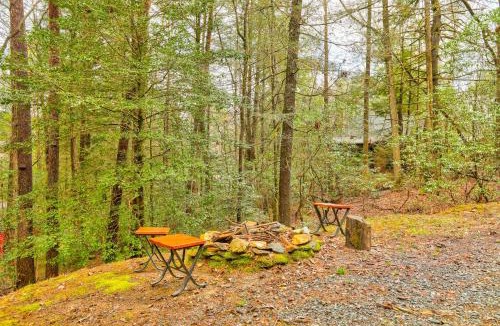 Cashes Valley House | Bear in the Woods