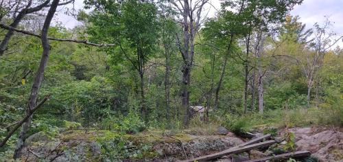 Arden Other | Bear Lake Cottage