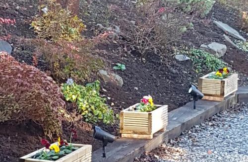 Auchterarder Cabin | Bear Lodge