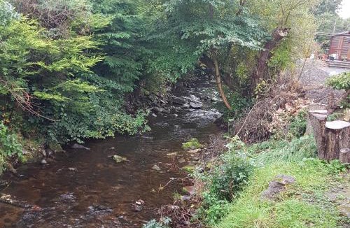 Auchterarder Cabin | Bear Lodge
