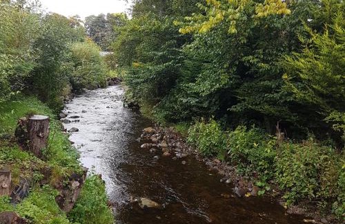 Auchterarder Cabin | Bear Lodge