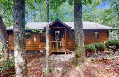 Hiawassee House | Bear Necessity Cabin
