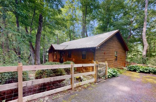 Hiawassee House | Bear Necessity Cabin