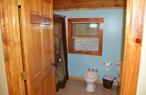 Austin Cabin | Bear Trail Lodge - Potter County Vacation Home