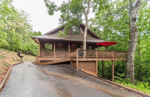 Sautee Nacoochee Cabin | Bearadise Bungalow | Luxurious Canopy Retreat | Hot Tub | Fire Pit | Pool Table