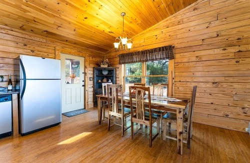 Hendersonville Cabin | Bearadise Log Cabin with Mountain Views