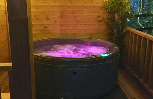 Brinkley House | Bears House