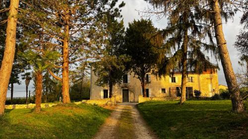 Condom Bed & Breakfast | BEARS N BREAKFAST