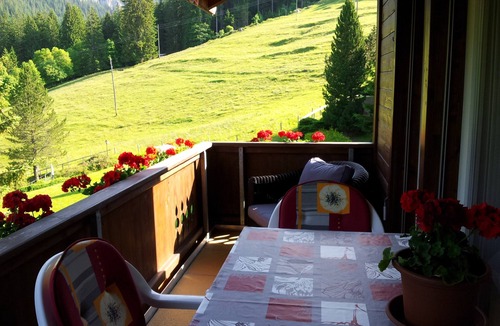 Central Interlaken Apartment | Beatenberg, large, quiet 1 room apartment Wi-Fi/WLAN, balcony, view