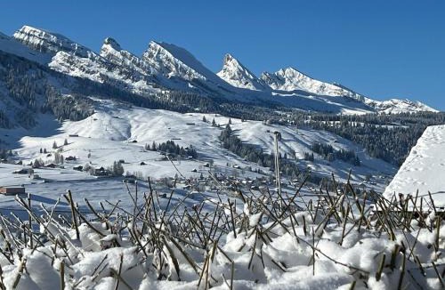 Wildhaus Ski Chalet | Beatli Chalet