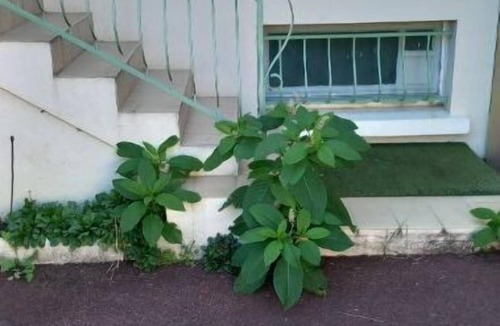 Chatellerault House | Beau Pavillon Tout Comfort