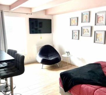 Saint-Thurien Apartment | Beau studio confortable pour 2 personnes Studio Roz