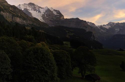Wengen Hotel | Beausite Park Hotel & Spa