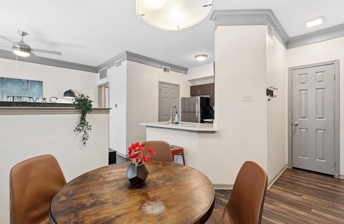 North Burnet Apartment | Beautiful 1BR Next to The Domain 4650