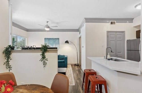North Burnet Apartment | Beautiful 1BR Next to The Domain 4102