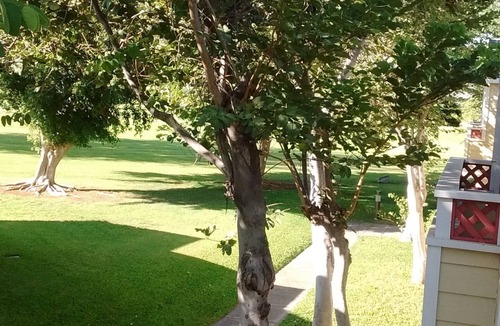 Waikoloa Village Condo | Beautiful 2 Bedroom Condo