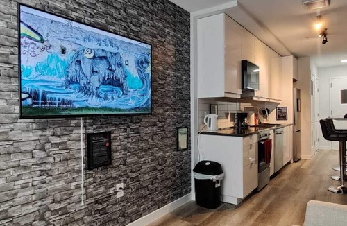 Downtown Condo | Beautiful 2 Bedroom Apt in downtown silverspring