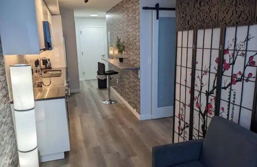 Downtown Condo | Beautiful 2 Bedroom Apt in downtown silverspring