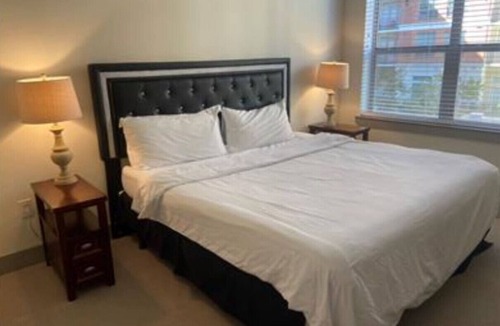 Astrodome Apartment | Beautiful 2 Bedroom/2 Bath Apartment in Houston by NRG Stadium