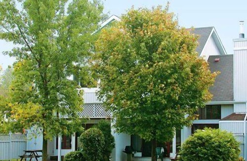 Collingwood Apartment | Beautiful 2 bedroom unit at resort, sleeps 6