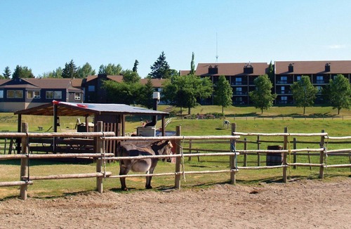 Wasagaming Apartment | Beautiful 2 bedroom unit at resort, sleeps 6