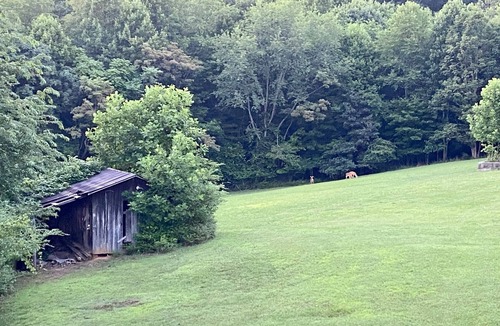 Henry House | Beautiful 2 BR 1 BA Cabin in Blue Ridge Mountains