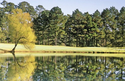 Hot Springs Village Apartment | Beautiful 2 bedroom unit at resort, sleeps 6