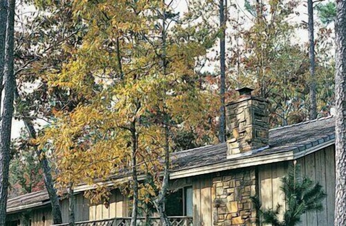 Hot Springs Village Apartment | Beautiful 2 bedroom unit at resort, sleeps 6