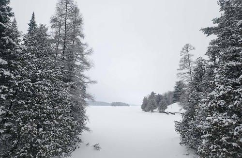 North Frontenac Cabin | Beautiful 3 Bedroom Loft Cabin