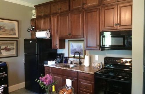 Eddyville Apartment | Beautiful 3 BR/2 BA Waterfront Apartment w/Stunning Lake View & Private Dock