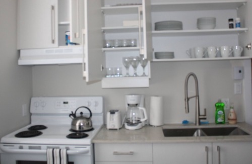 La Petite-Patrie Apartment | BEAUTIFUL 4 BEDROOM IN PLATEAU / CENTRAL