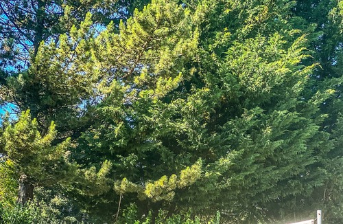 Brush Prairie House | BEAUTIFUL AND PEACEFUL STUDIO WITH FARM VIEWS