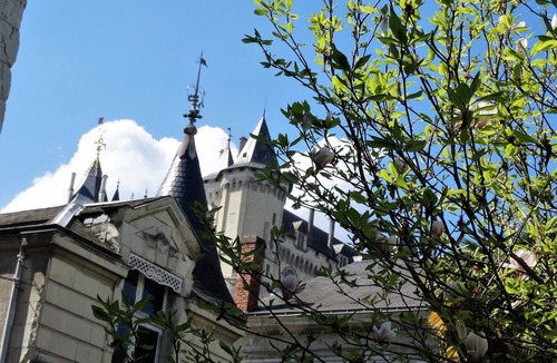 Saumur Apartment | Beautiful apartment at the foot of the castle