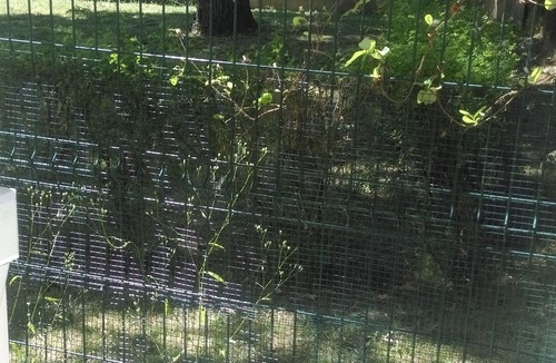 Cathedrale Apartment | beautiful apartment cathedral area