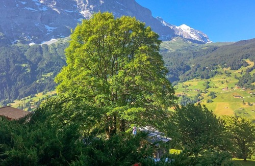 Grindelwald Apartment | Beautiful apartment for 4 people with WIFI, TV, terrace and parking
