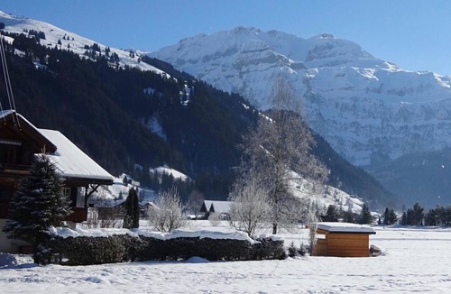 Lenk Apartment | Beautiful apartment for 5 people with WIFI, TV, balcony, pets allowed and parking