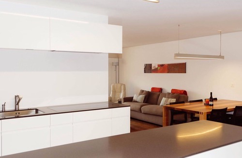 Spiez Apartment | Beautiful apartment for 4 guests with WIFI, TV, balcony and pets allowed