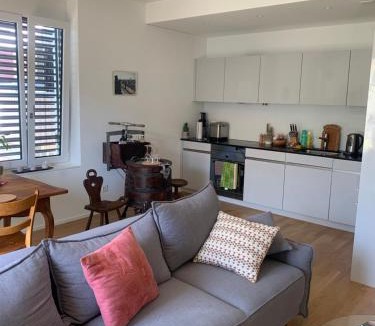 District 4 Apartment | Beautiful Apartment in Central Zurich