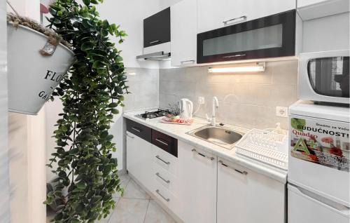 Opuzen Apartment | Beautiful Apartment In Opuzen With Wifi