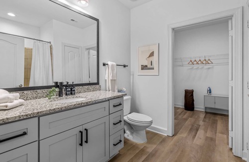 North Druid Hills Apartment | Beautiful Apartment near Emory!