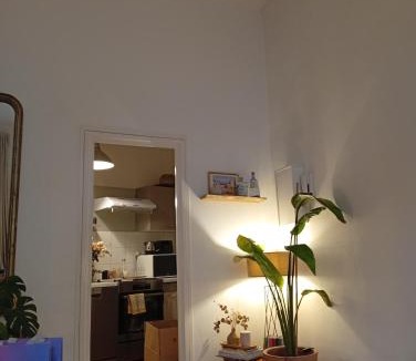 Necker Apartment | Beautiful apartments center of Paris