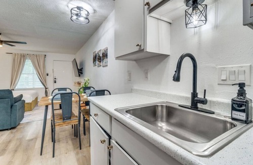 Hyde Park Apartment | Beautiful Austin Studio|Pet-Friendly |10mins to DT